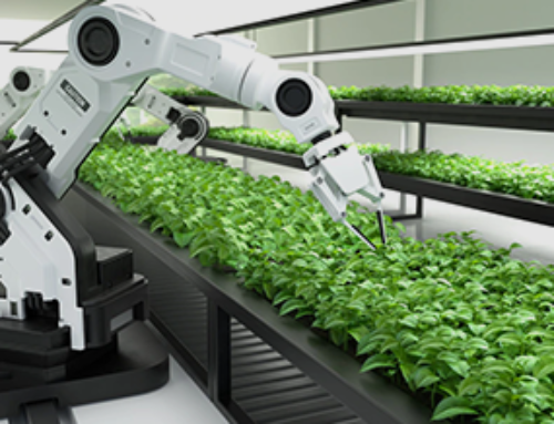 Agricultural Processing